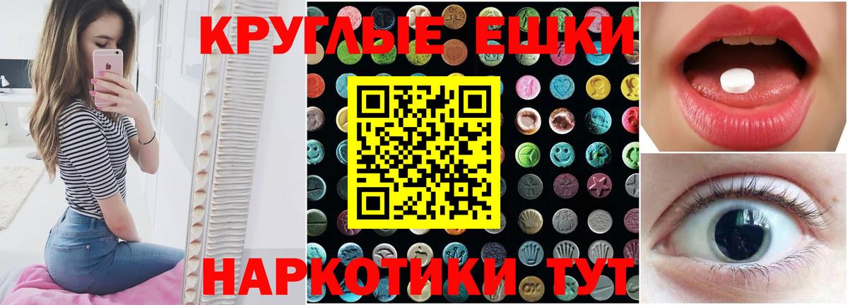 Ecstasy Philipp Plein Грозный