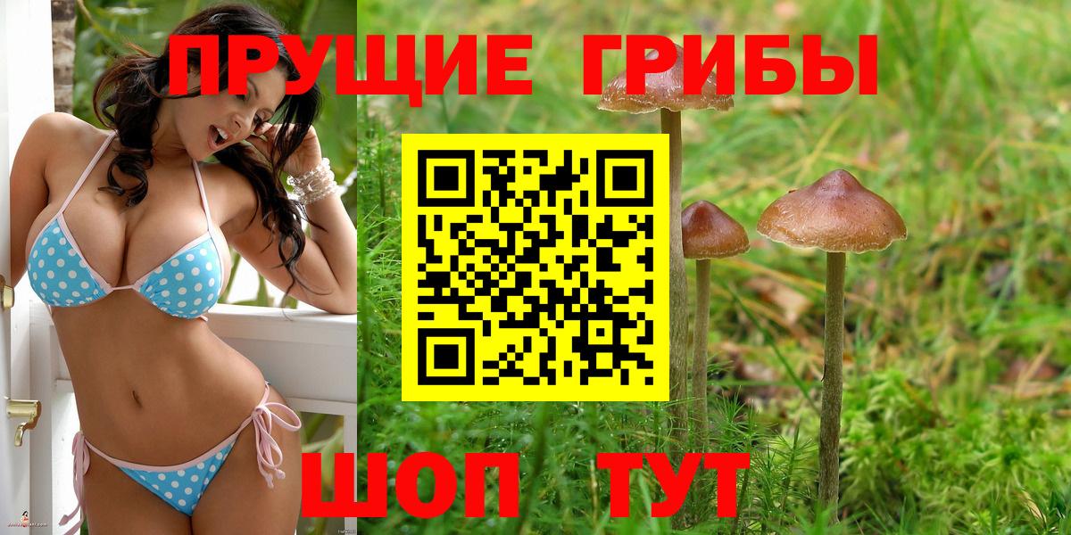 Галлюциногенные грибы Psilocybe  Вход с VPN  наркотики  Грозный 